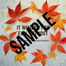 Load image into Gallery viewer, Fall & Thanksgiving Social Media Pack