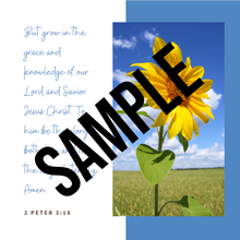 Load image into Gallery viewer, Summer Social Media Pack