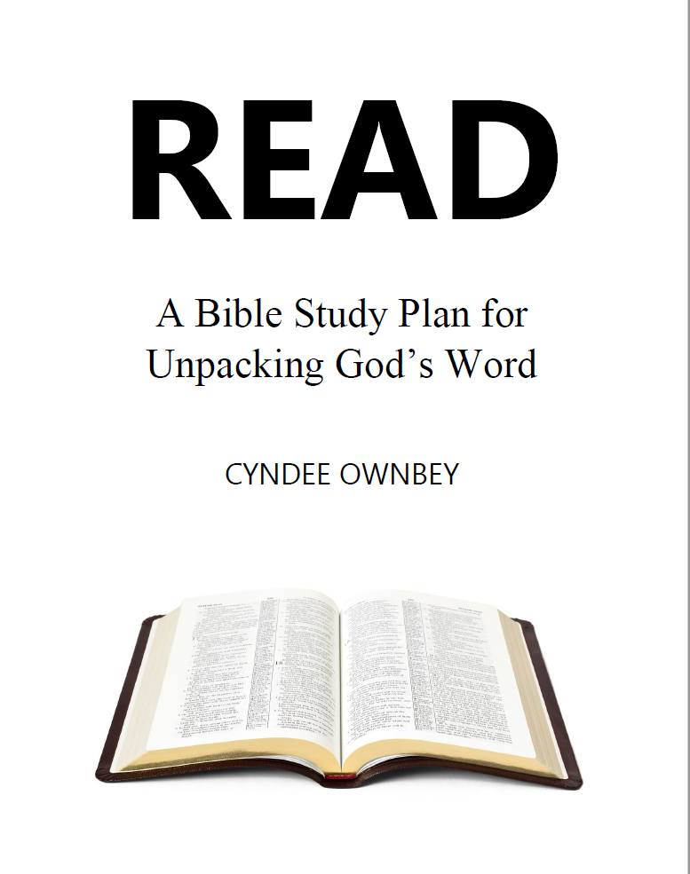READ Bible Study Workbook (eBook)